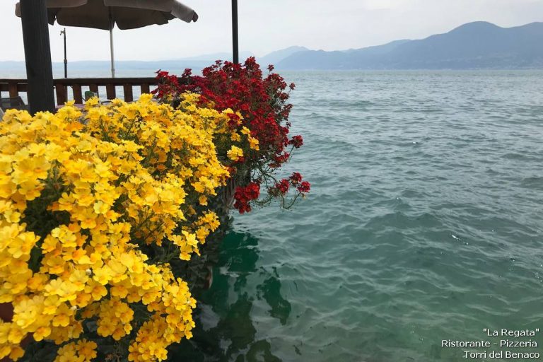 La Regata — foto 5